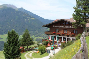 Отель Alpengasthaus Gleinserhof, Мидерс